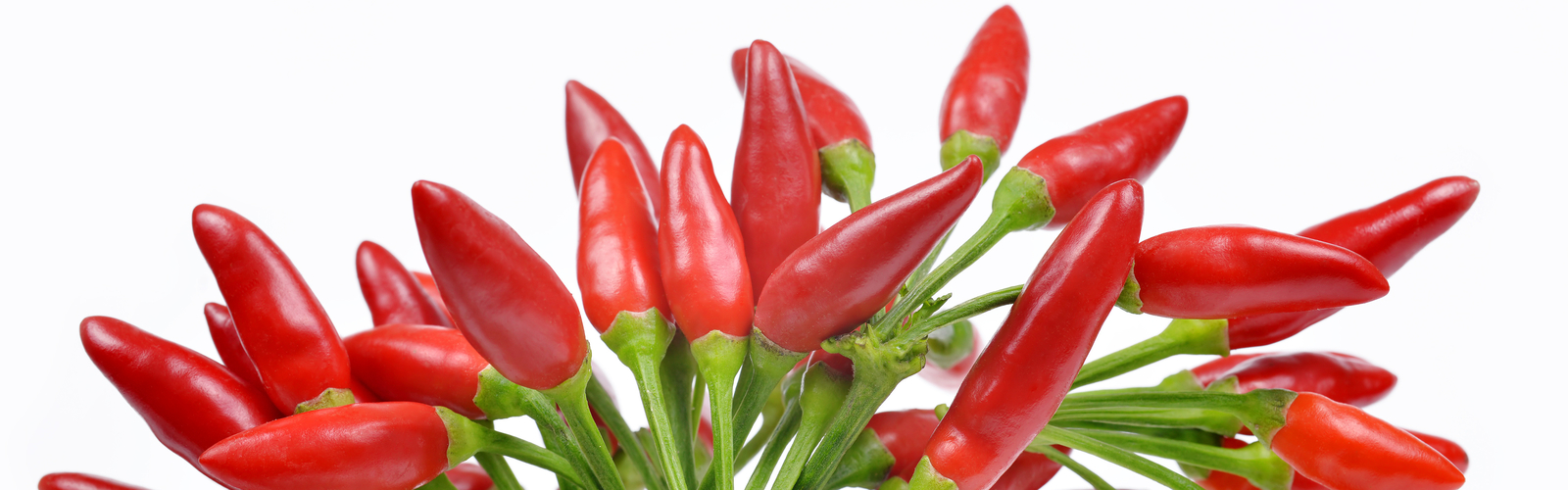 The Capsaicin alkaloids now work against inflammation